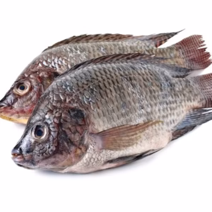 Tilapia Medium (5kg)