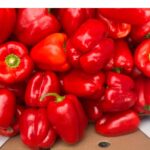 Red Cap (Ball Pepper)