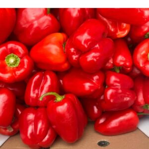 Red Cap (Ball Pepper)