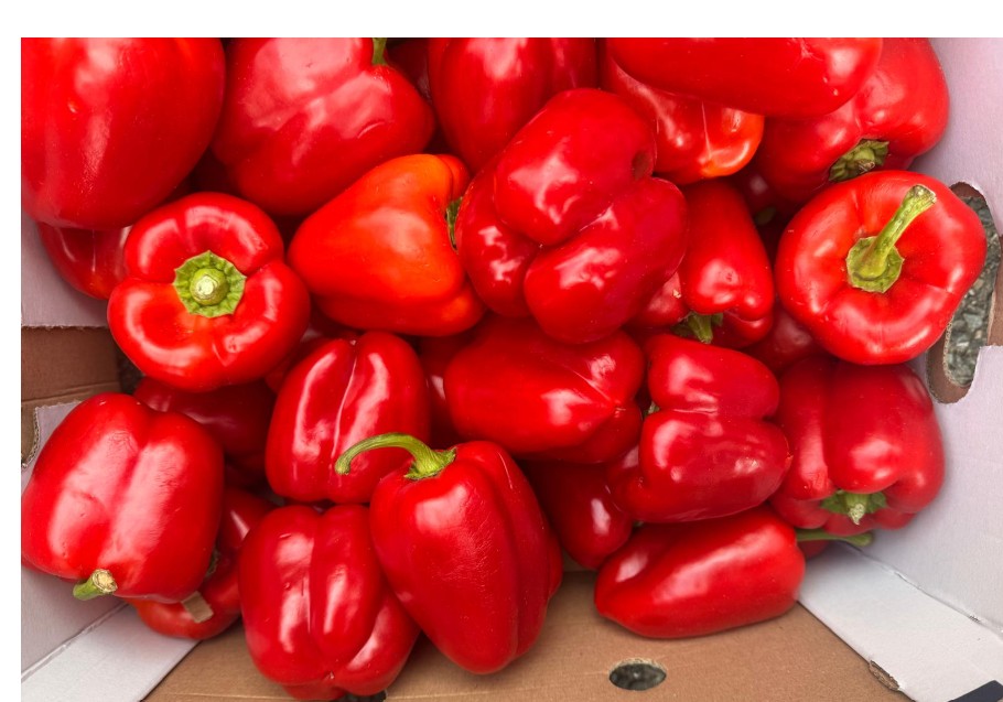 Red Cap (Ball Pepper)