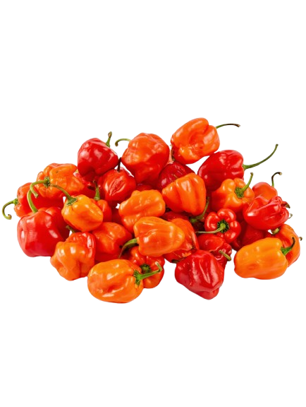 Rodo_Peppers___Studio_Shot-removebg-preview